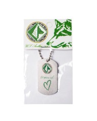 MEDAGLIETTA US Avellino