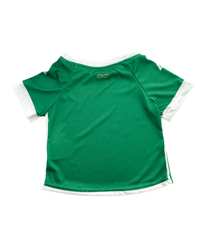 MAGLIA GARA US AVELLINO NEONATO 25/26 VERDE